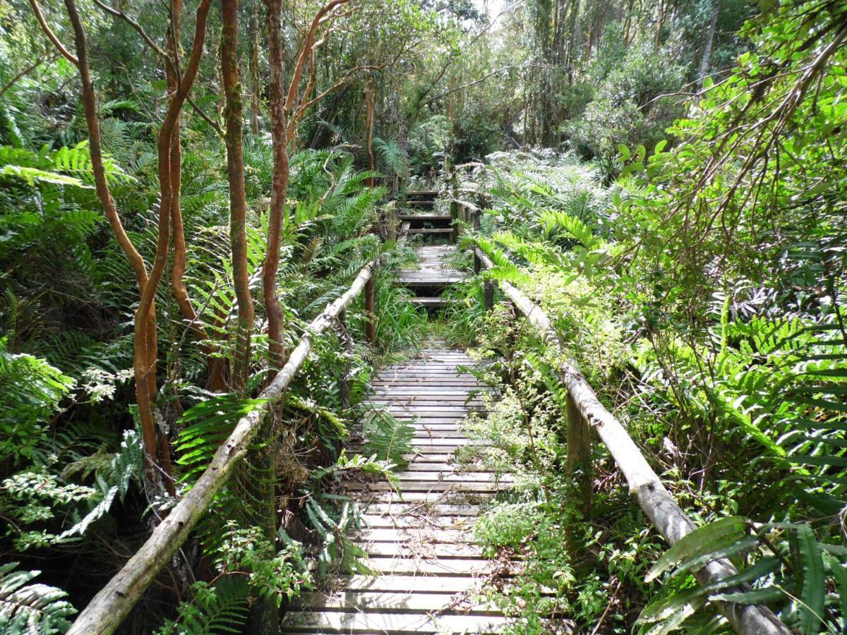 Turismo del Bosque Castro Exterior foto