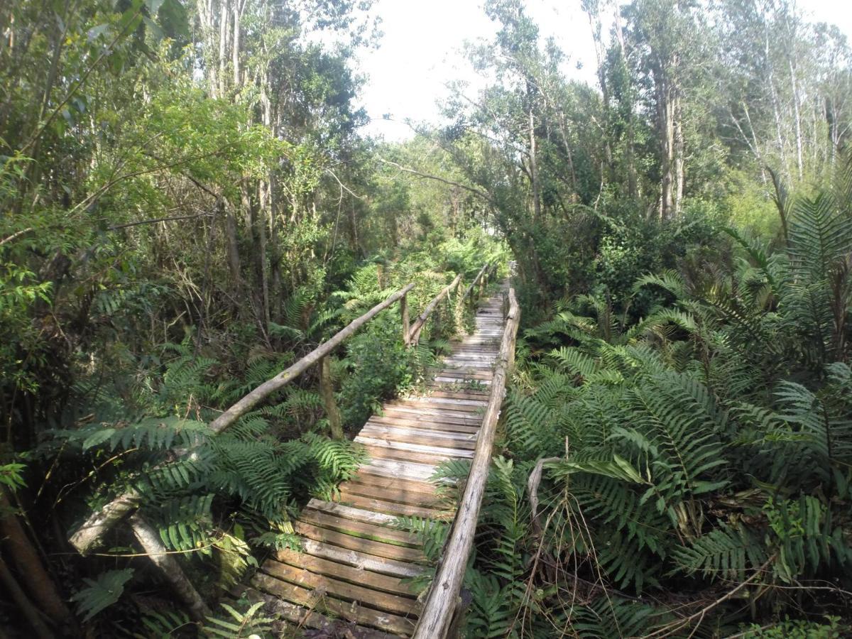 Turismo del Bosque Castro Exterior foto